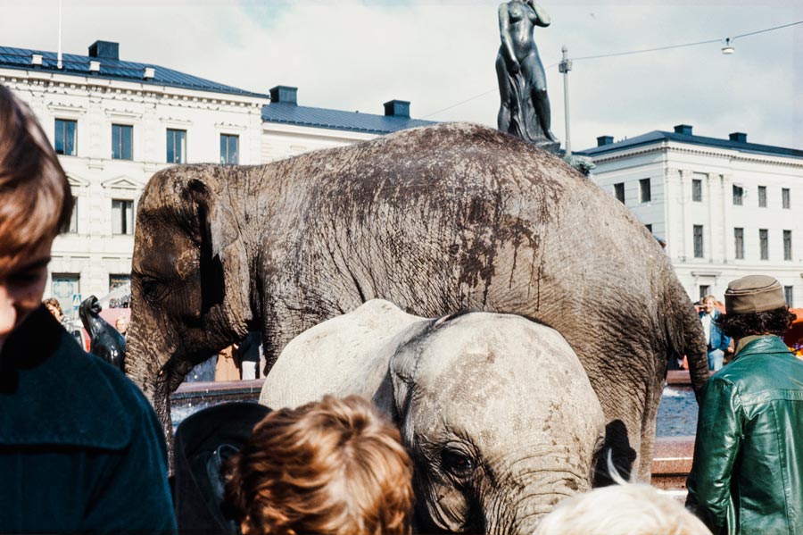 8/12<br/><strong>Mantalla on vieraillut sirkusnorsuja kaksi kertaa. Ensimmäisen kerran vuonna 1964. Toisen kerran suihkulähteellä nähtiin norsuja vuonna 1974.</strong><br/>Kuva: Jyrki Tenhunen / Helsingin kaupunginmuseo